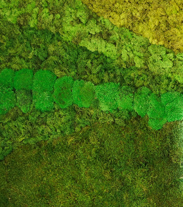 MIDORI (rectangular)