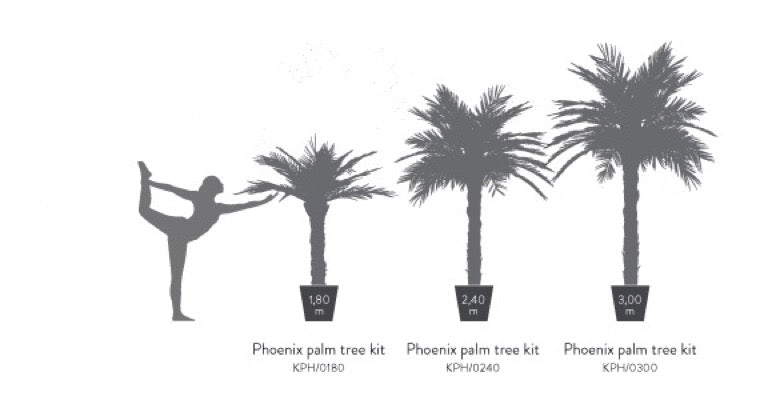 KIT PALMERA PHOENIX ARBOL