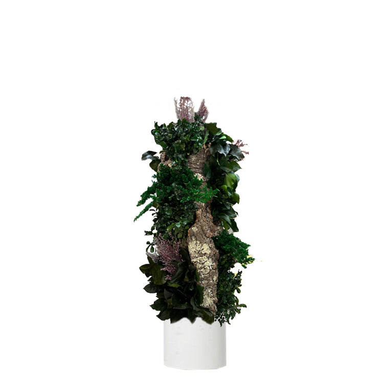 TOTEM BOSQUE