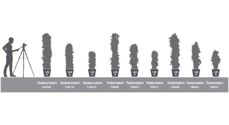 TOTEM HEDERA