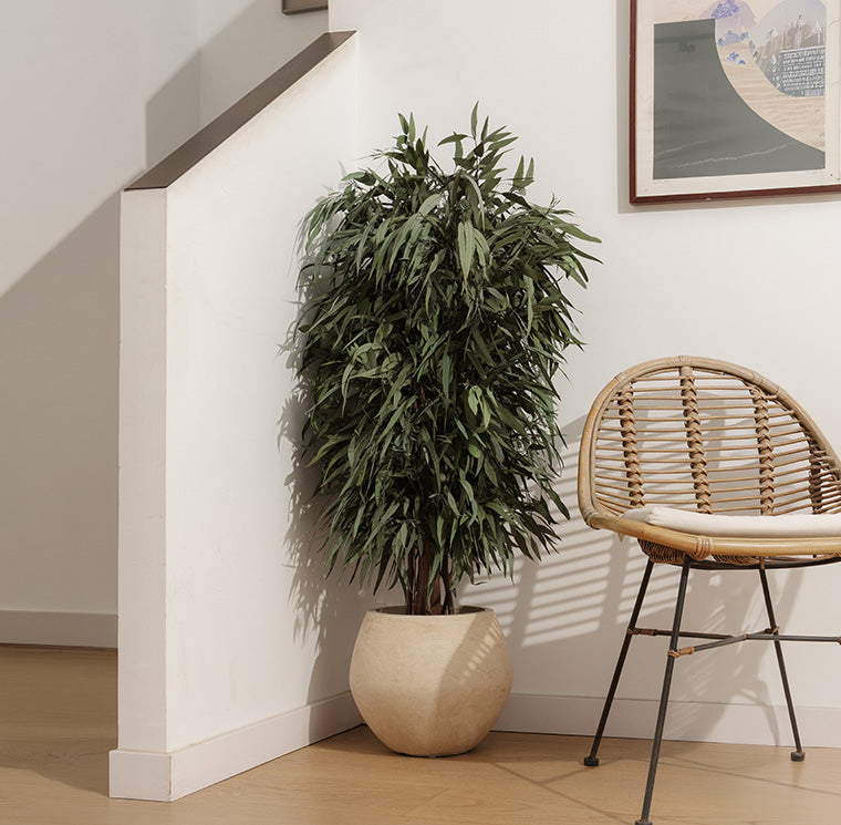 WIDE PENDULA