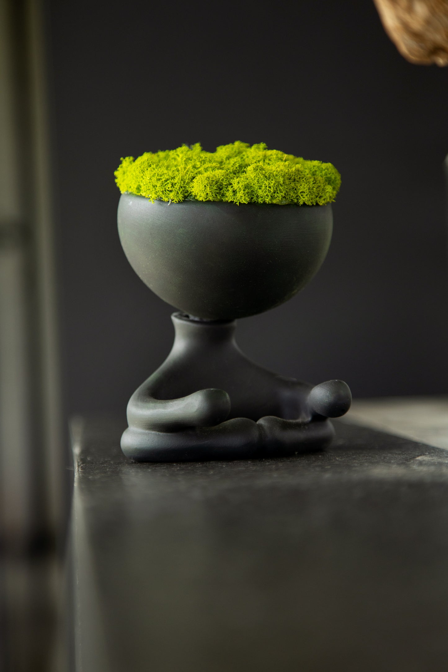 ROBERTIÑO MOSS