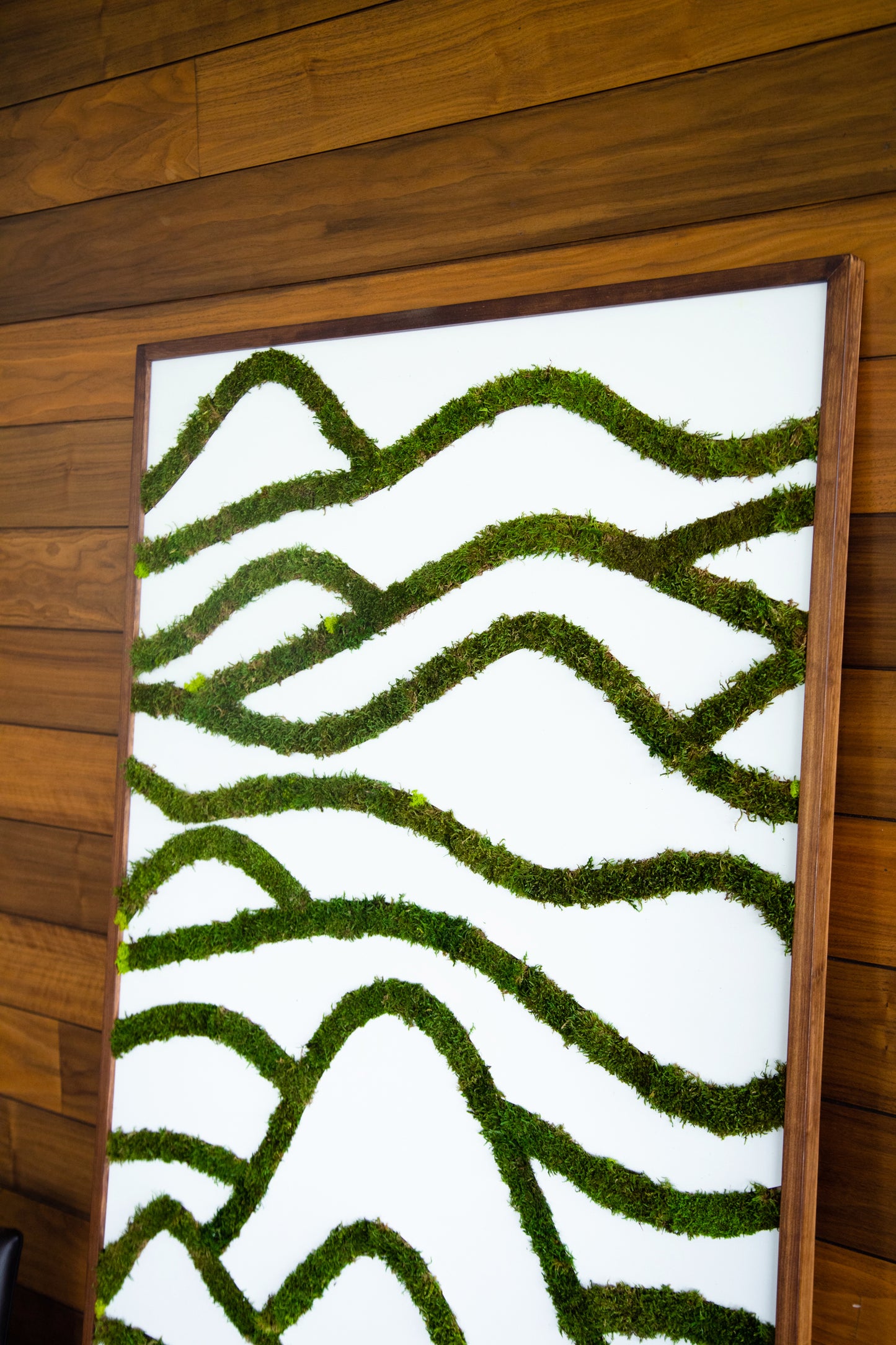 LA MONTAÑA DEL MUNDO (2021) - CHRISTIAN ABUSAID + MATERIA VERDE COLAB (MUSGO PLANO)