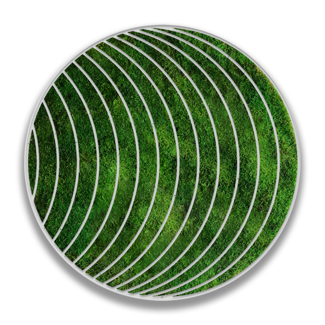 CIRCULO THETA