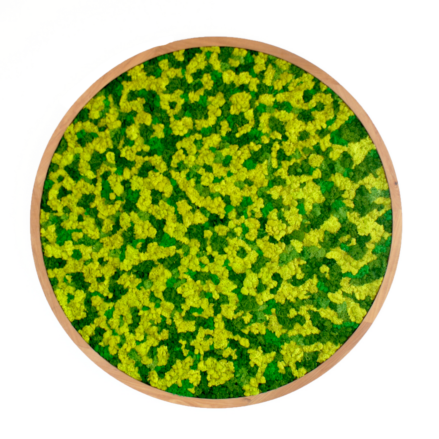 CIRCULO DE LIQUEN