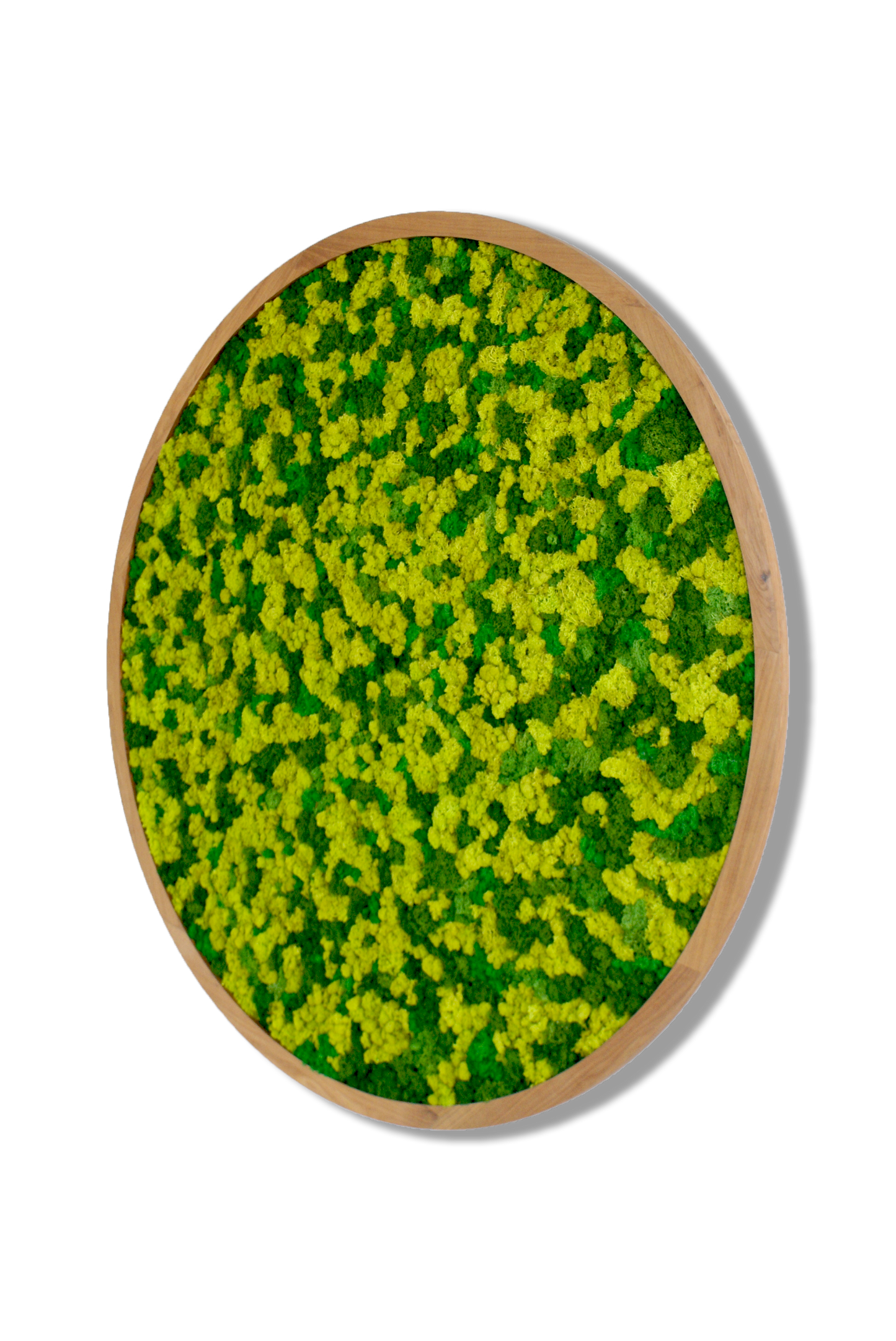 CIRCULO DE LIQUEN