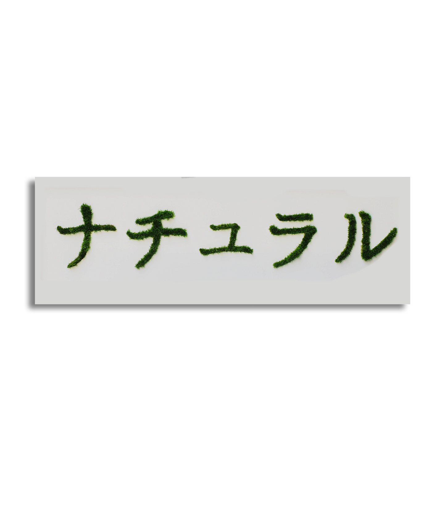 MIDORI NO HI