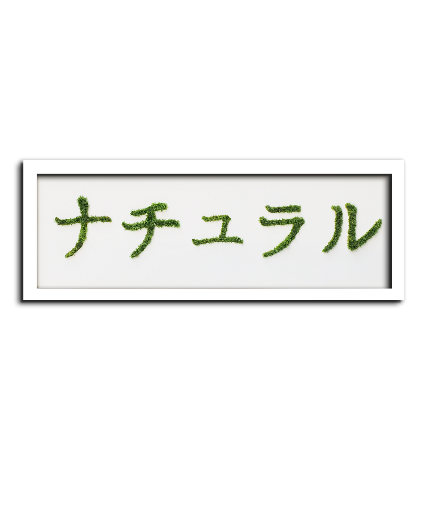 MIDORI NO HI