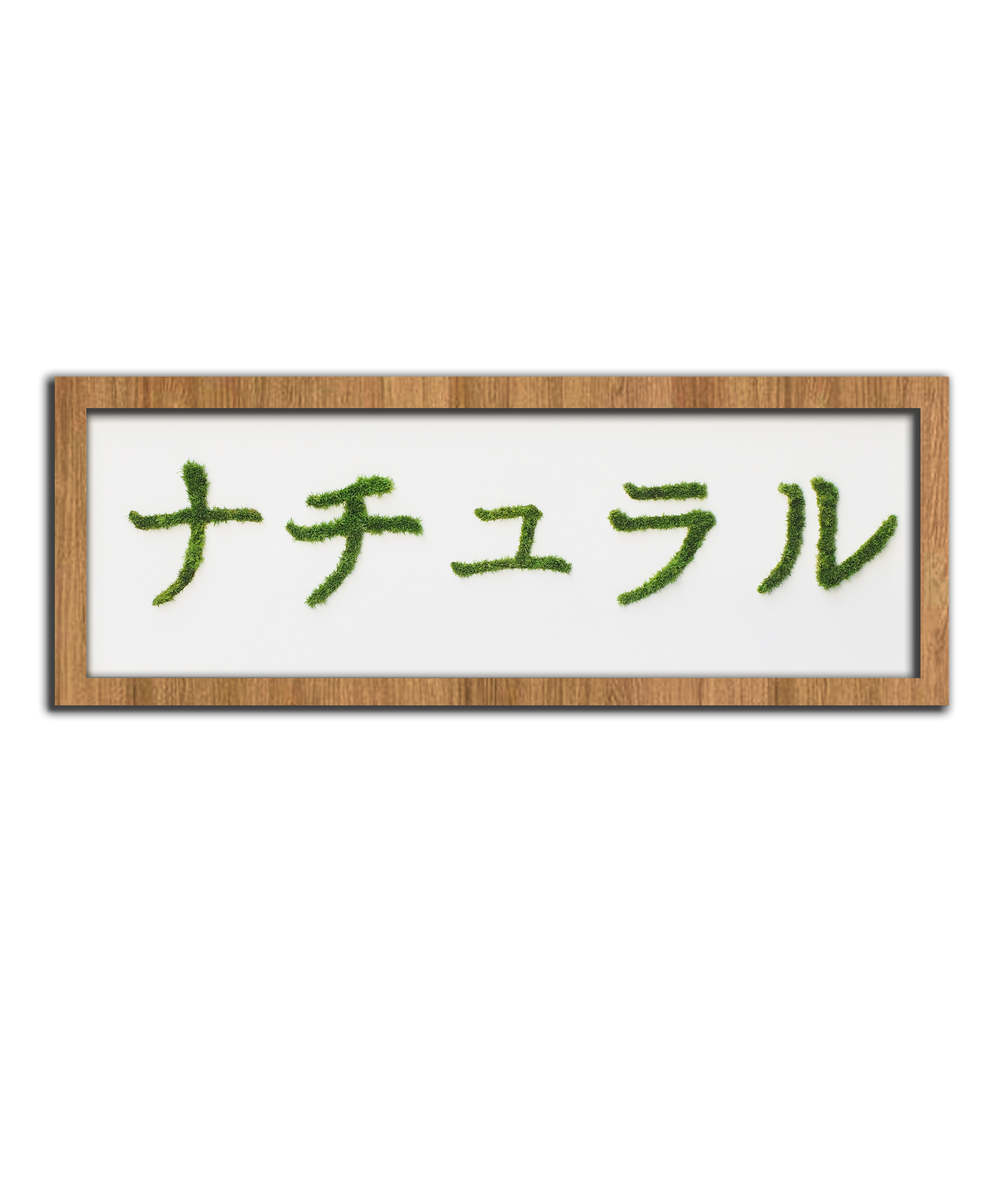 MIDORI NO HI