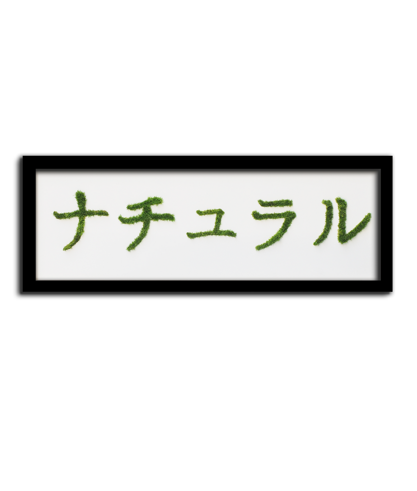 MIDORI NO HI