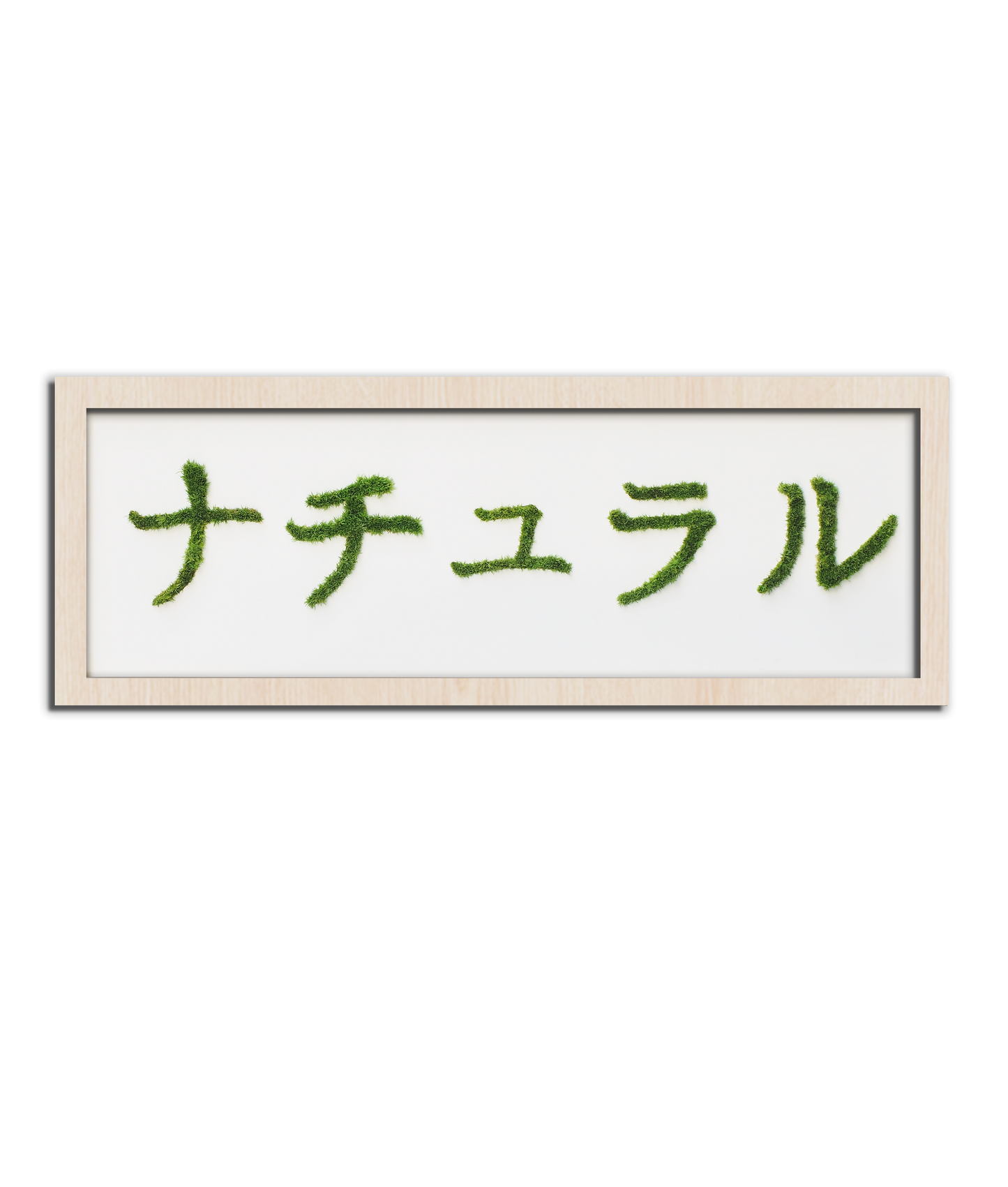 MIDORI NO HI