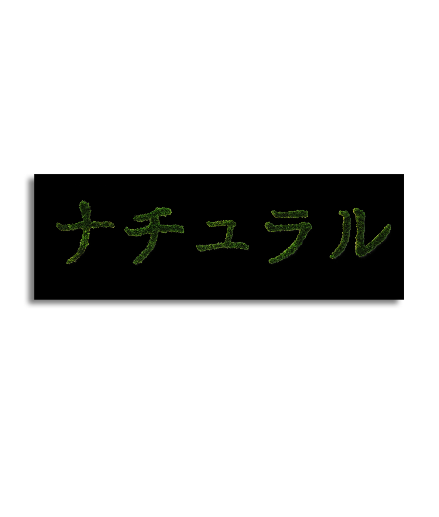 MIDORI NO HI