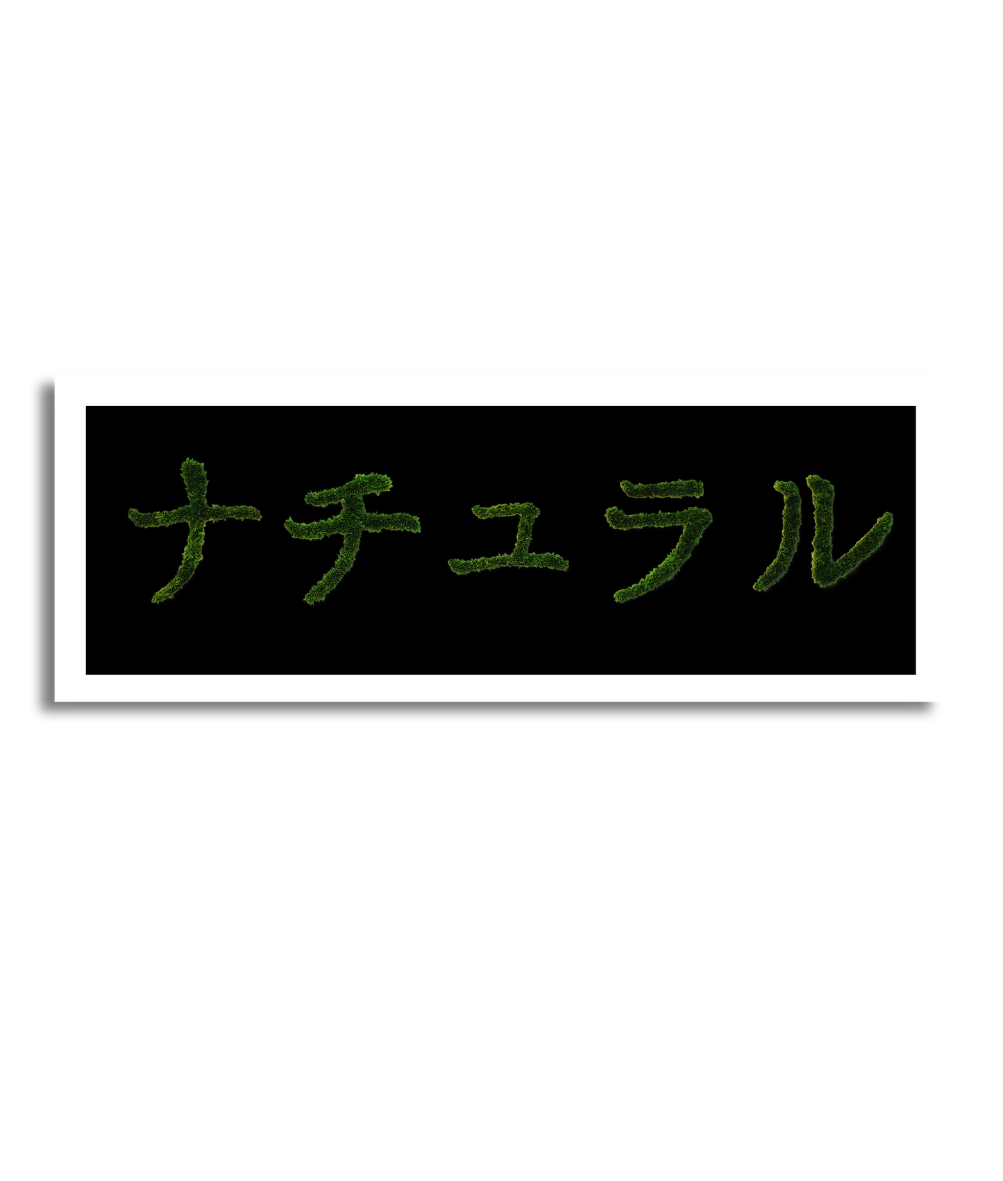 MIDORI NO HI