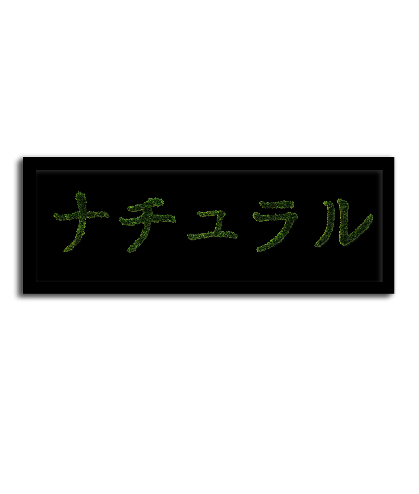 MIDORI NO HI