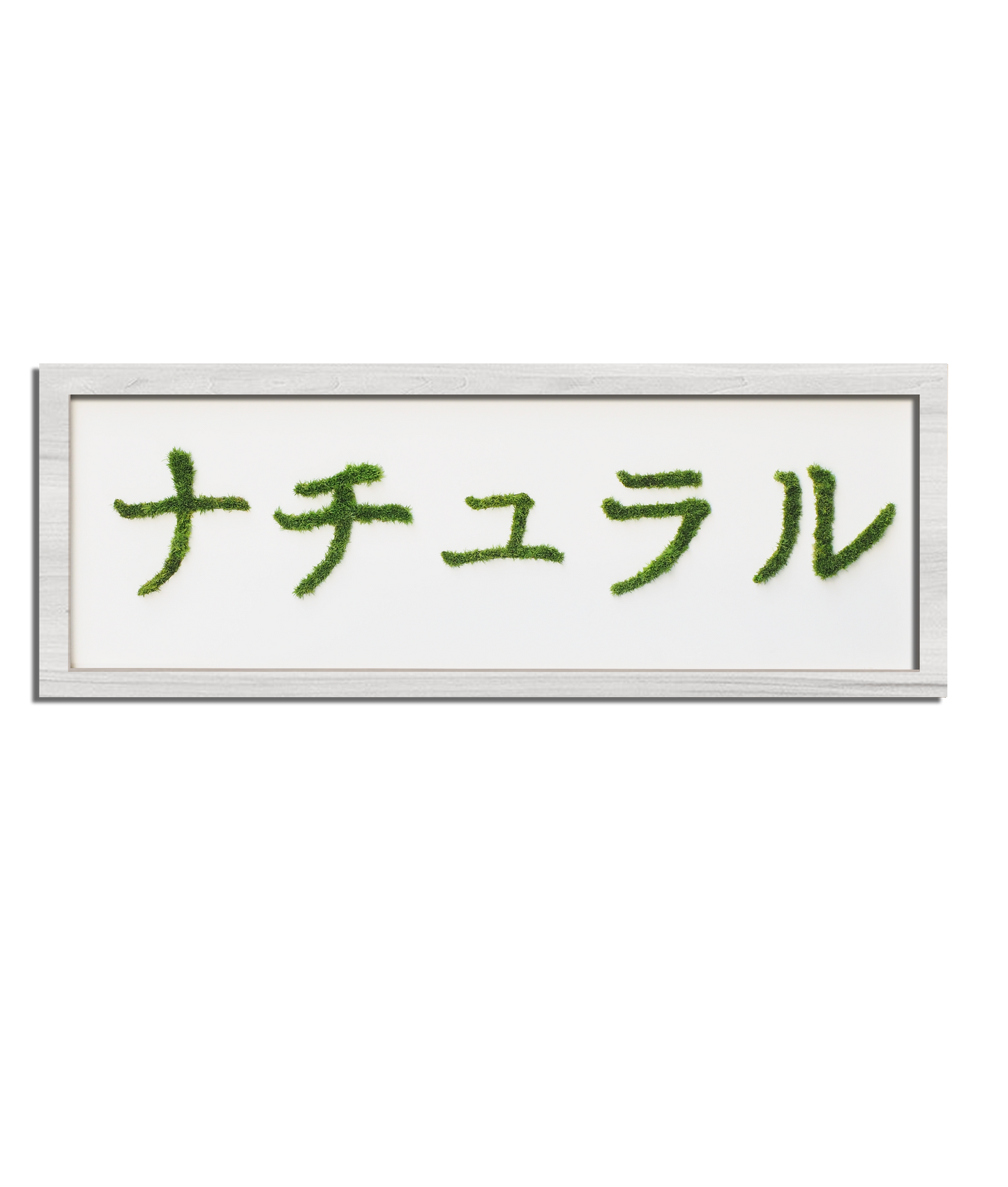 MIDORI NO HI