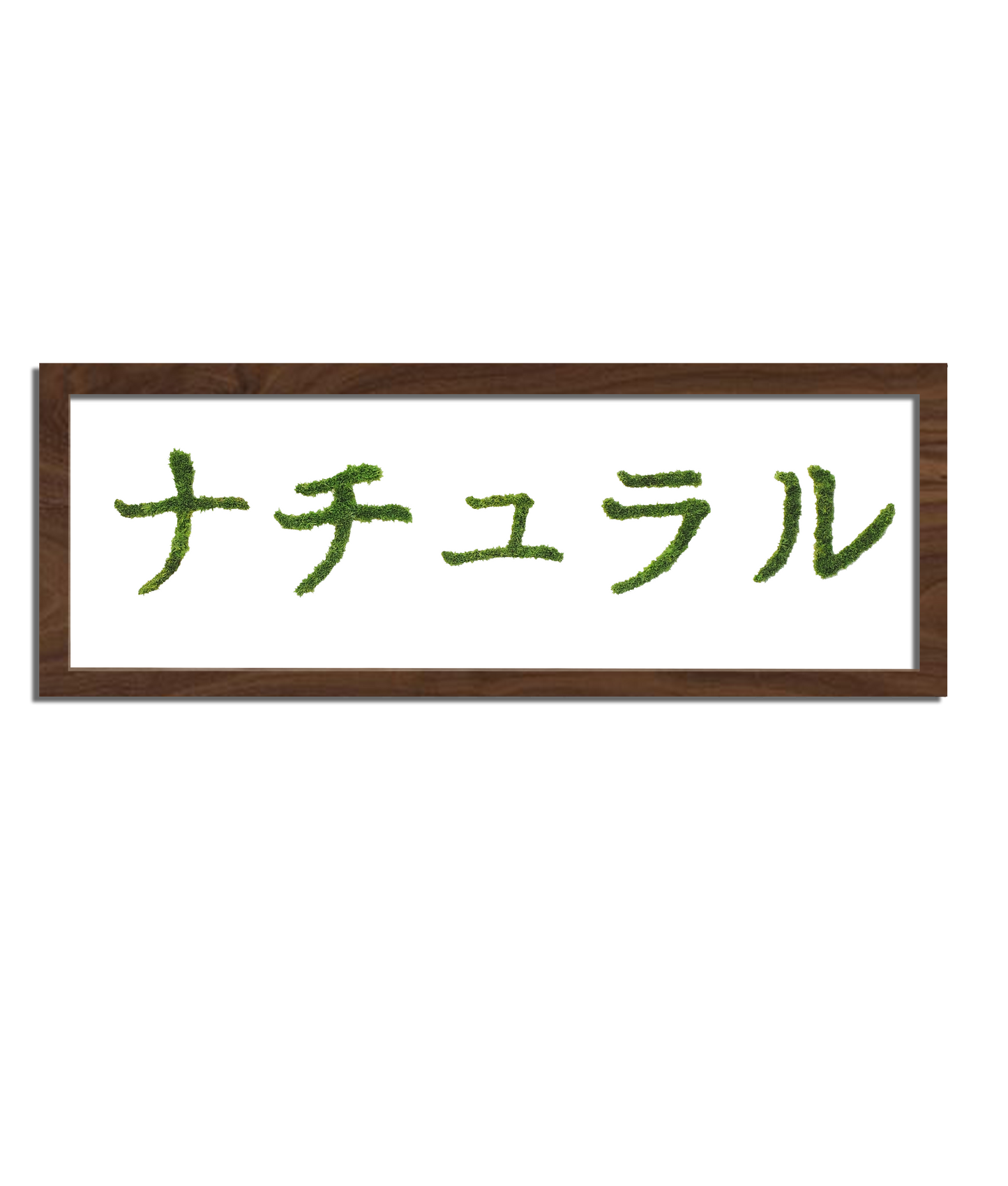 MIDORI NO HI