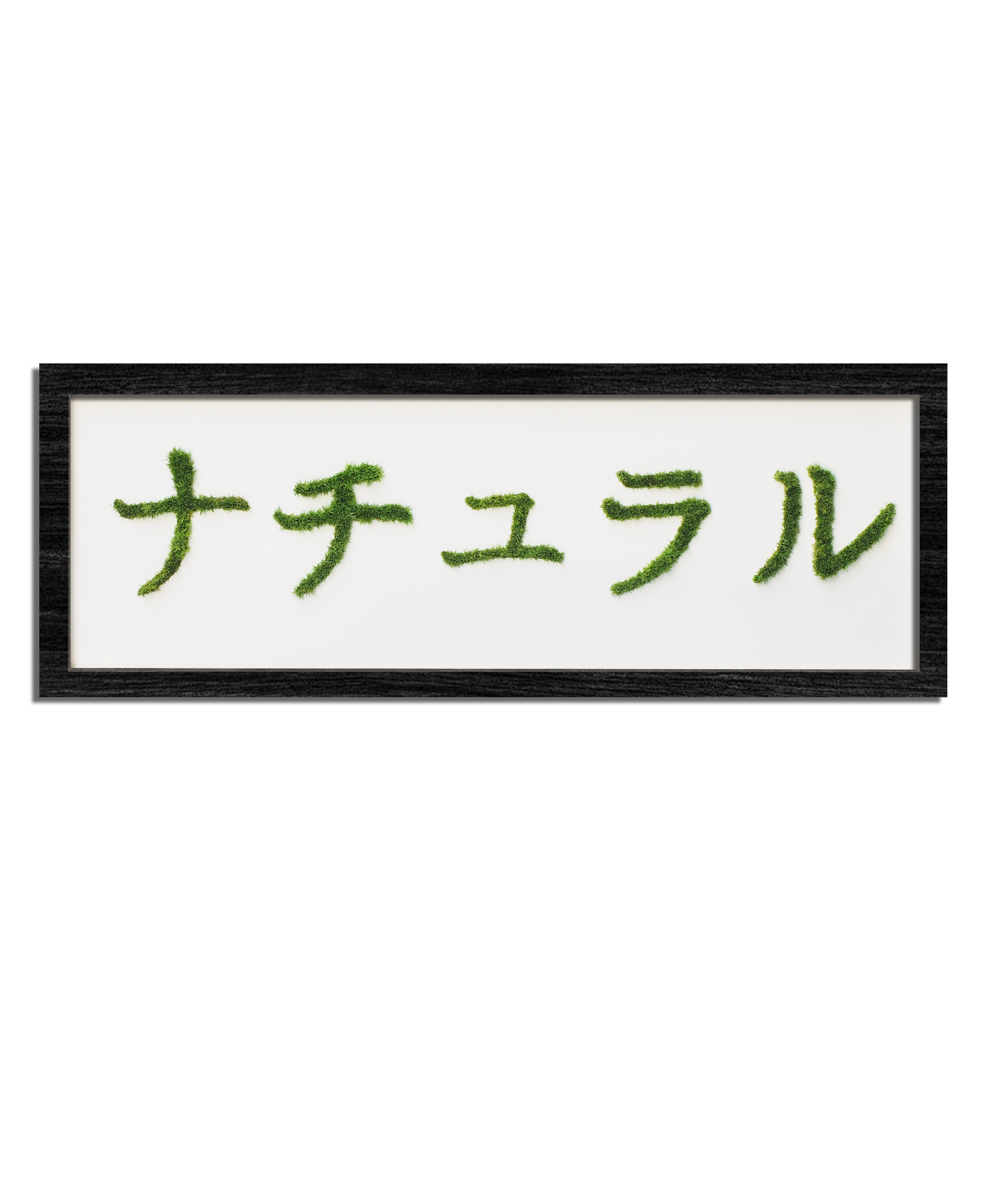 MIDORI NO HI