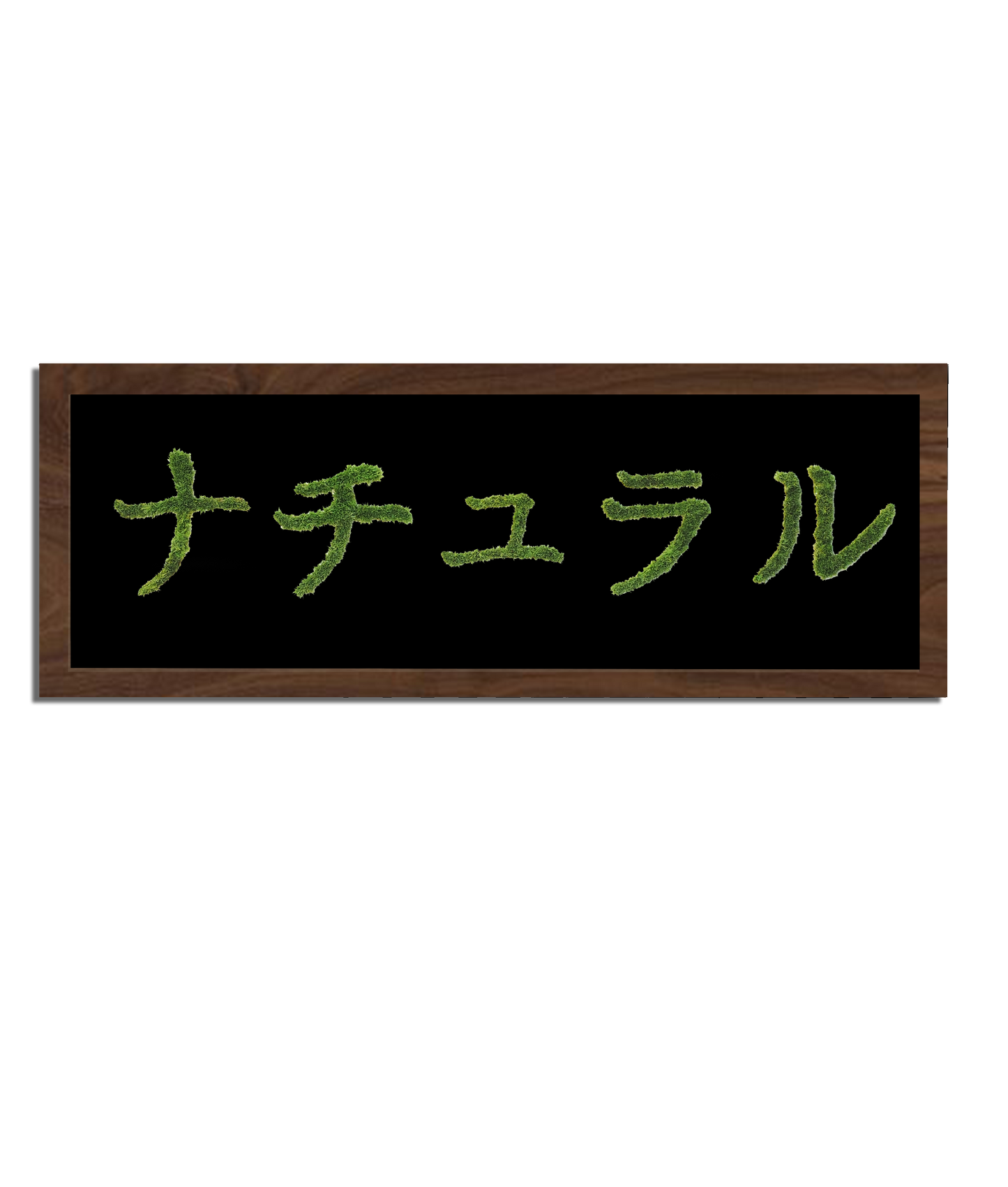 MIDORI NO HI