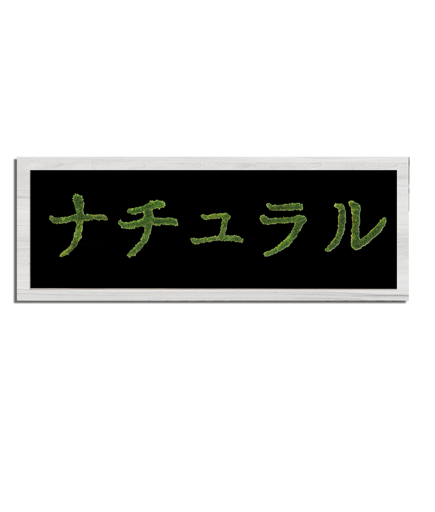 MIDORI NO HI