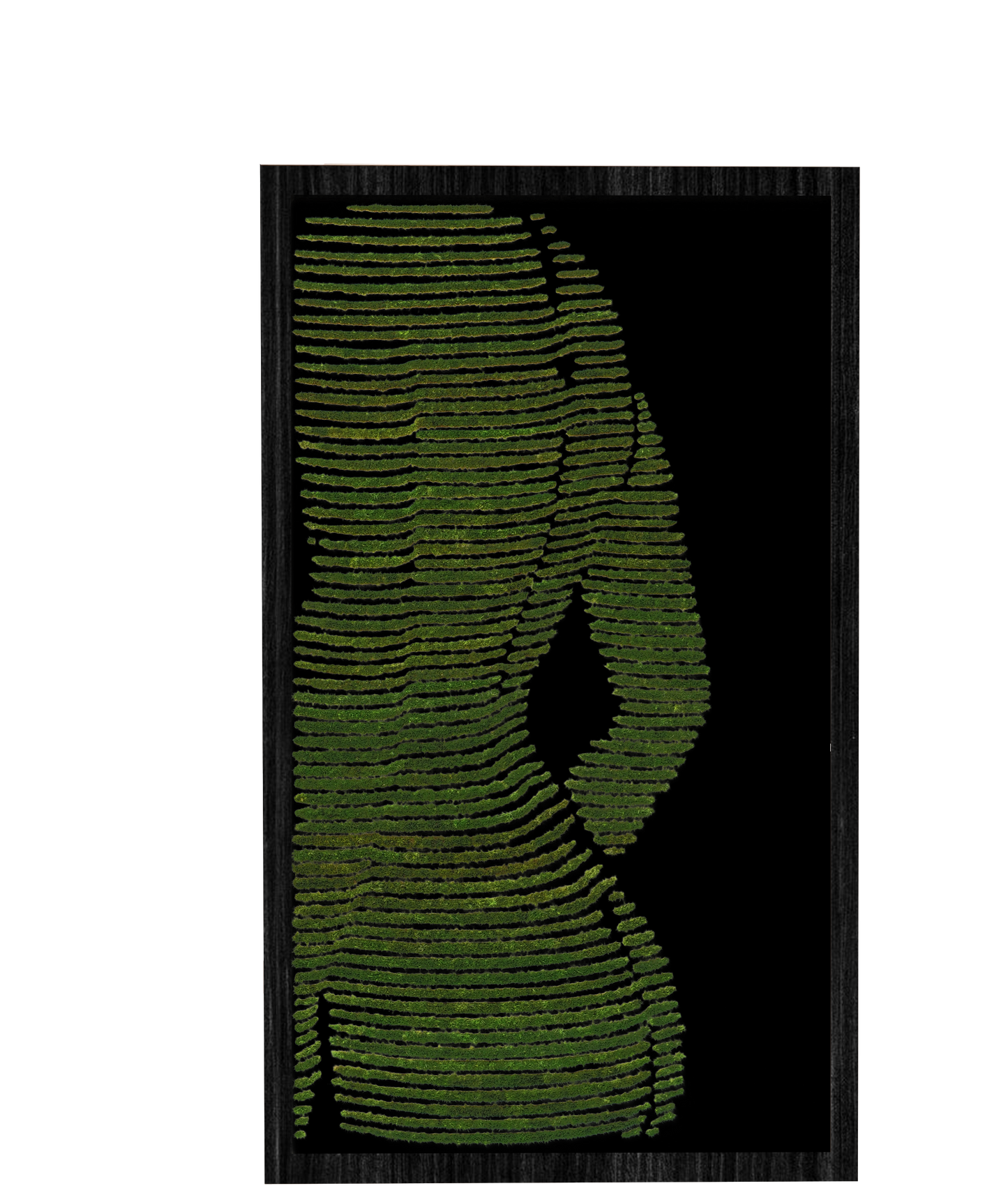 MUJER VERDE