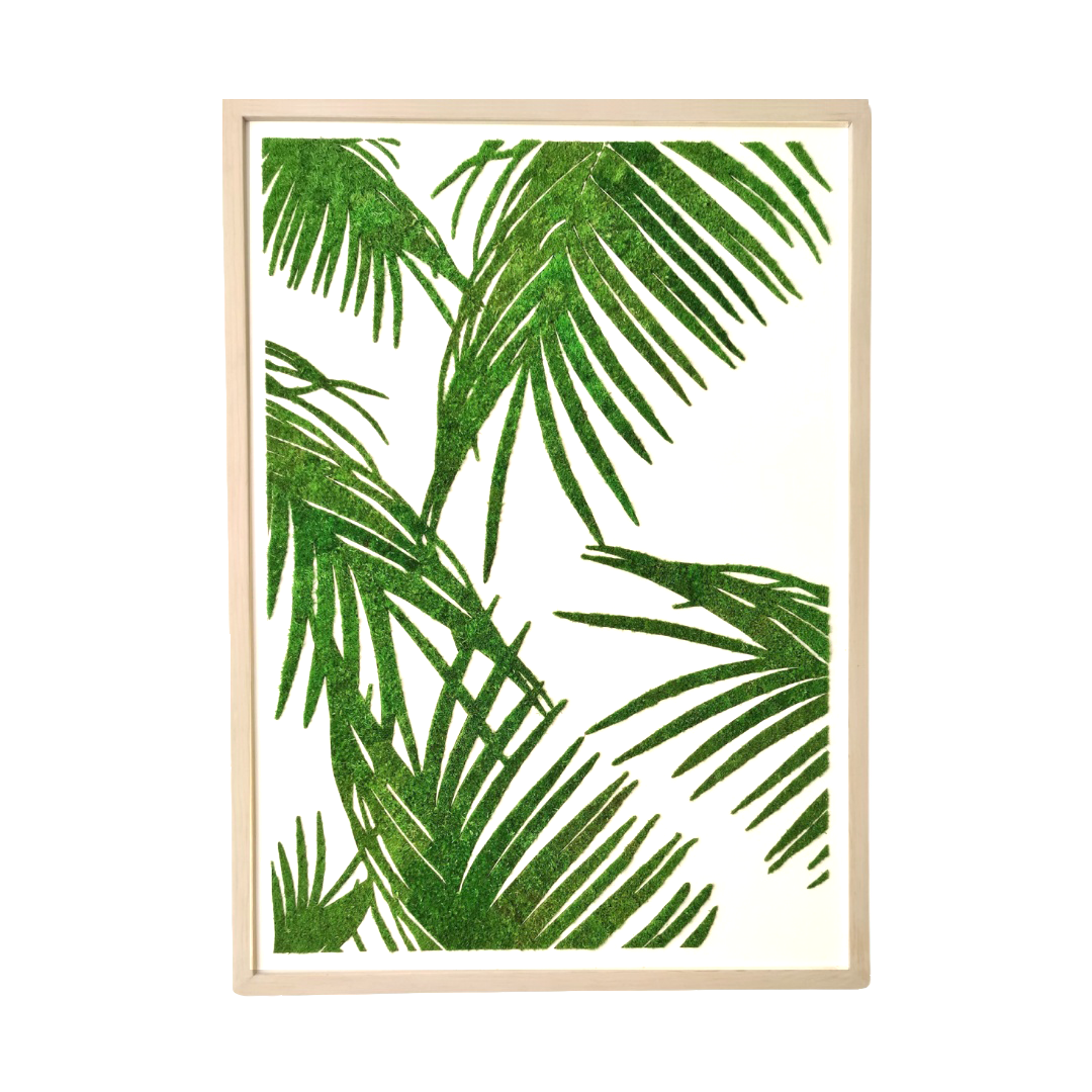 PALMA LEAF