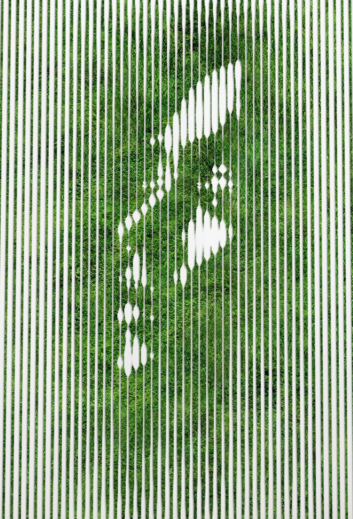 PERSPECTIVE