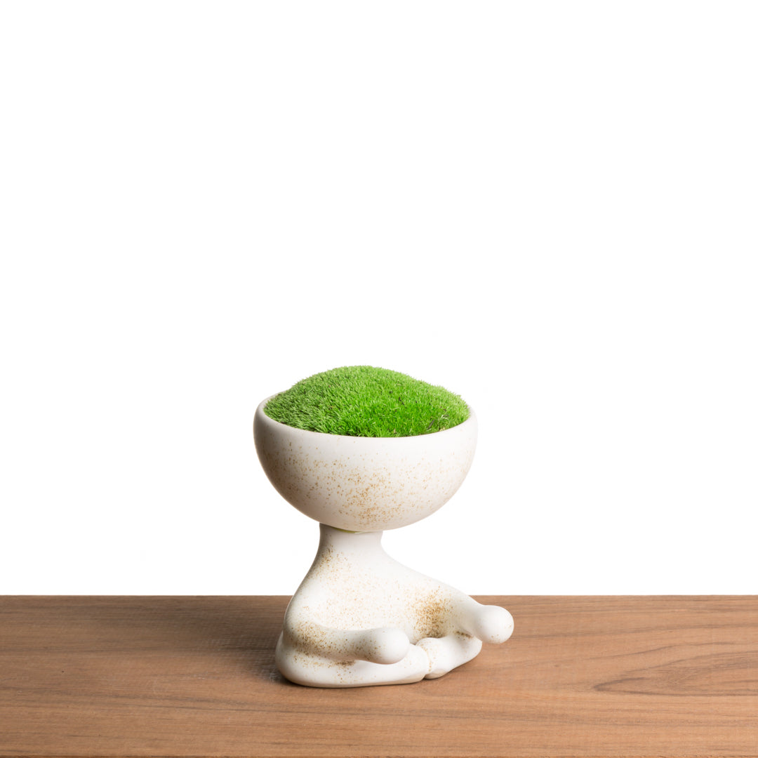 ROBERTIÑO MOSS