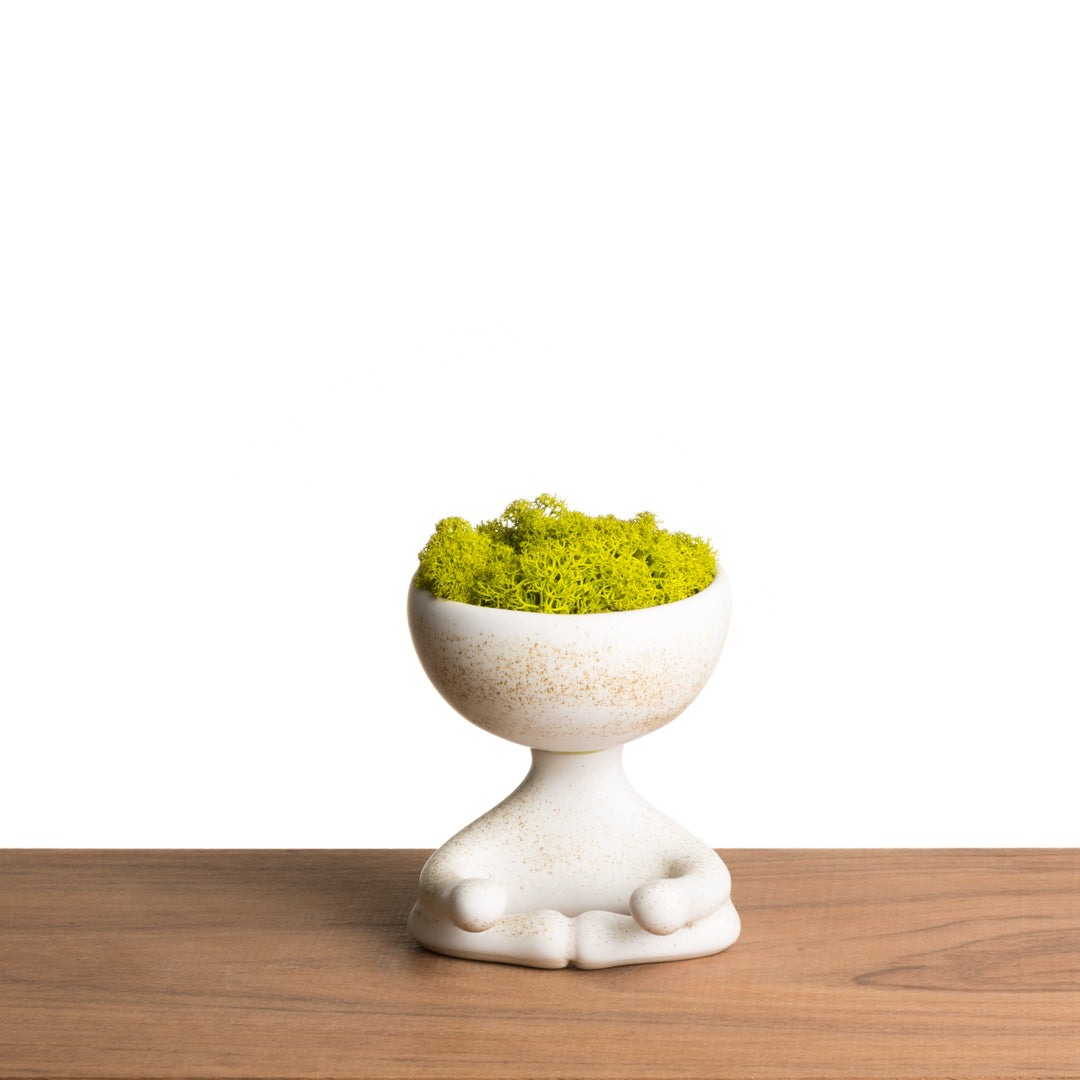 ROBERTIÑO MOSS