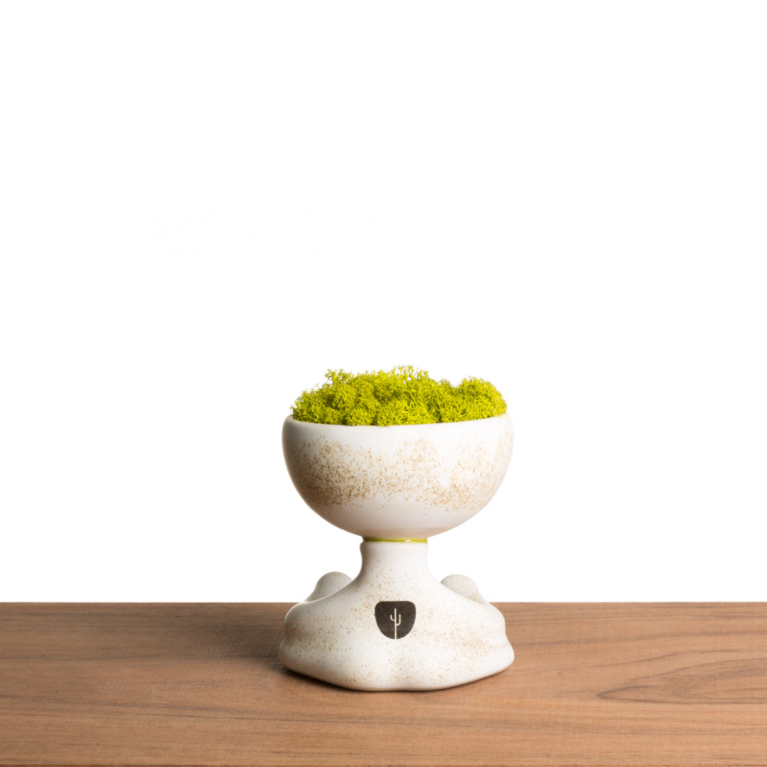 ROBERTIÑO MOSS