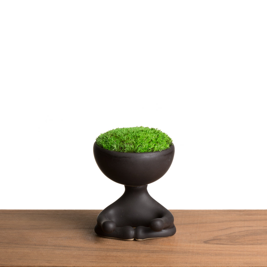 ROBERTIÑO MOSS