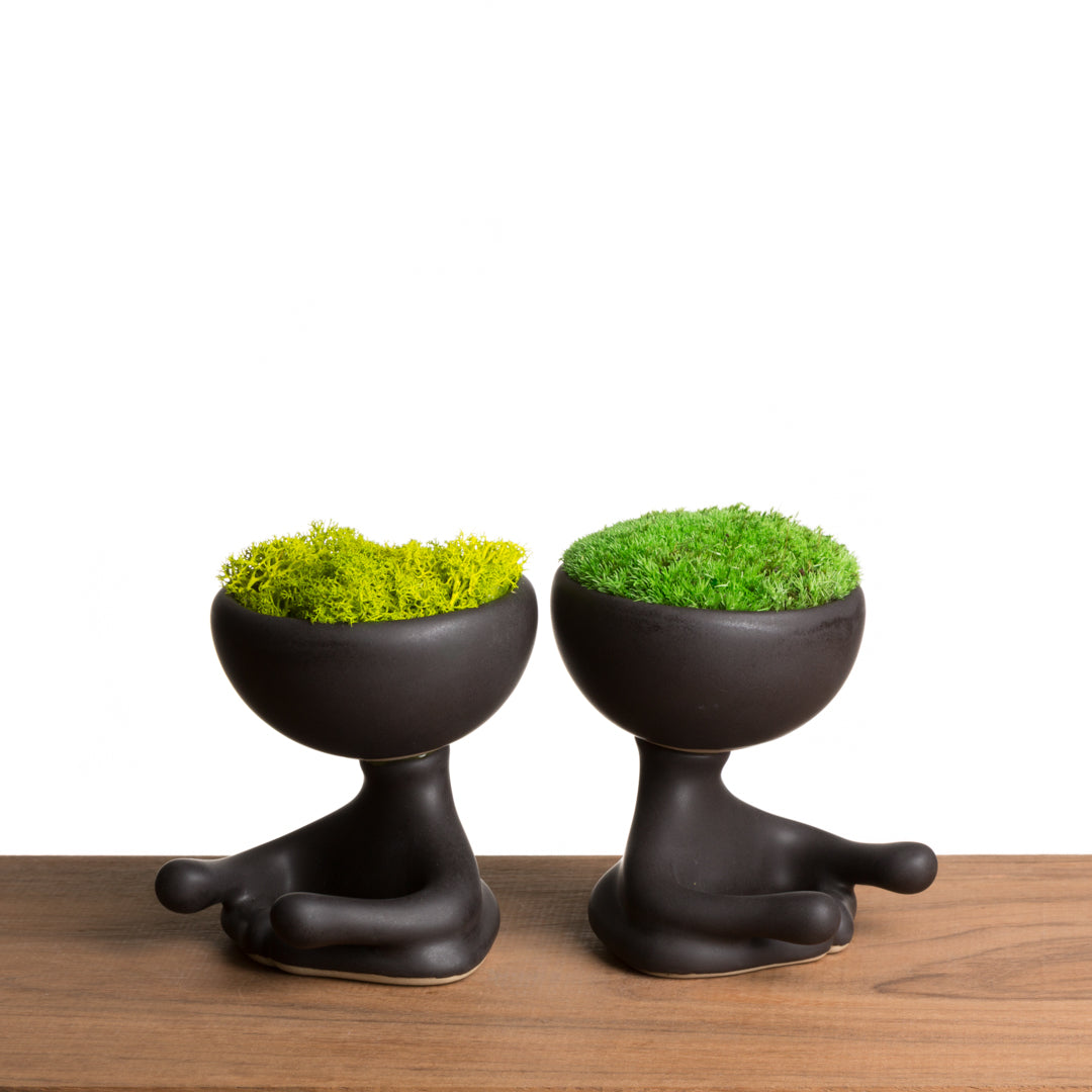 ROBERTIÑO MOSS
