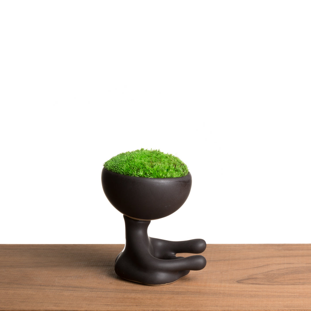 ROBERTIÑO MOSS