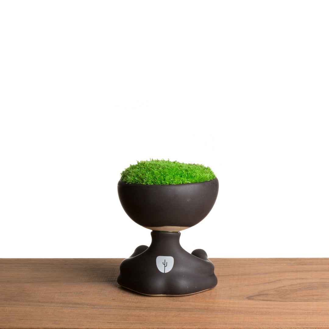 ROBERTIÑO MOSS