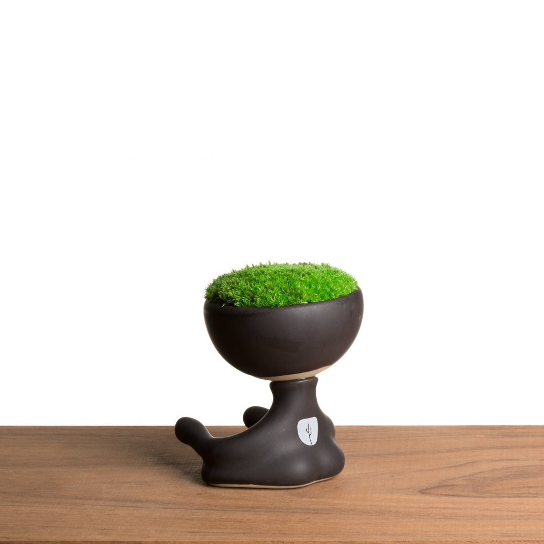 ROBERTIÑO MOSS