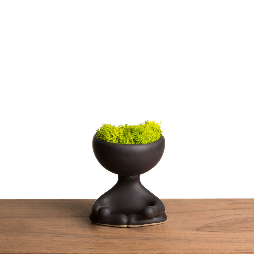 ROBERTIÑO MOSS
