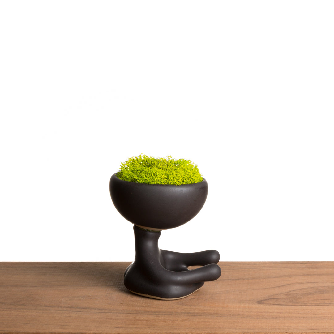 ROBERTIÑO MOSS