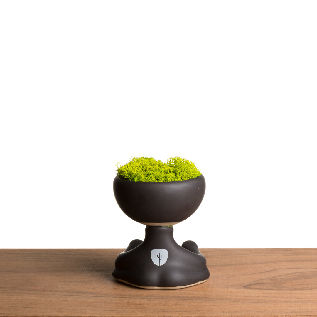 ROBERTIÑO MOSS