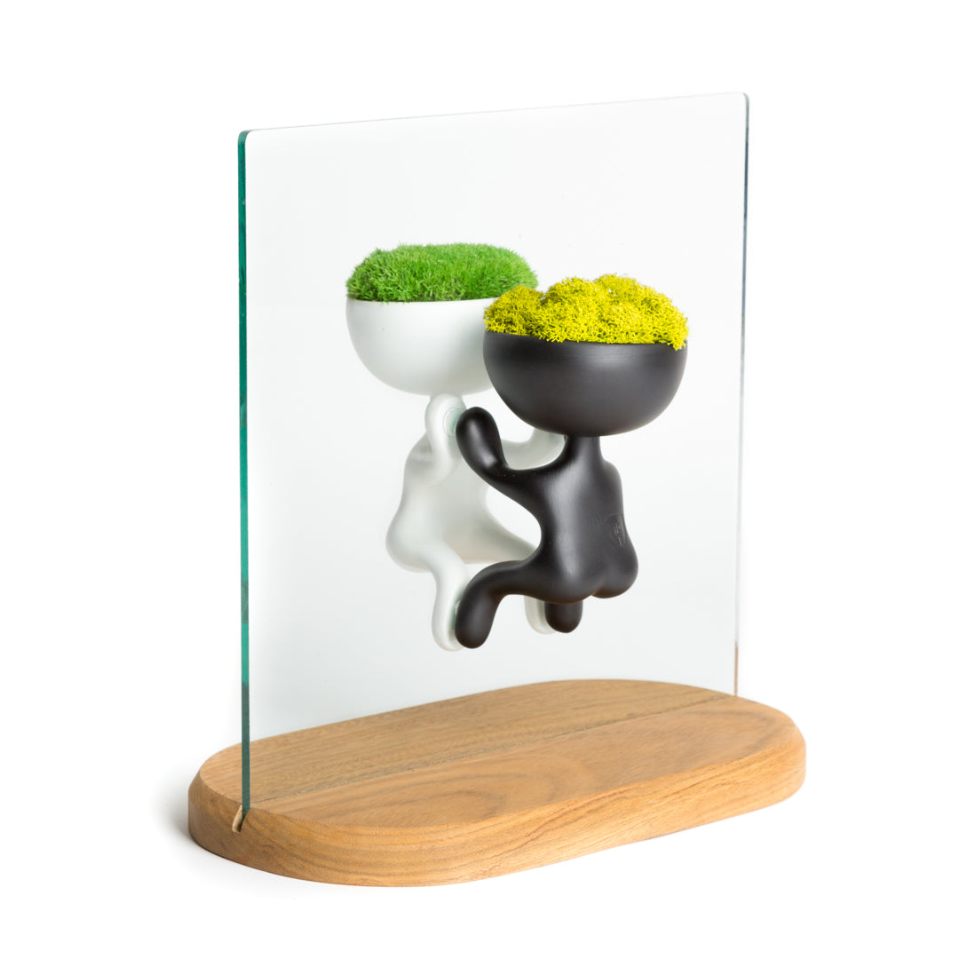 ROGER MOSS (Base decorativa)