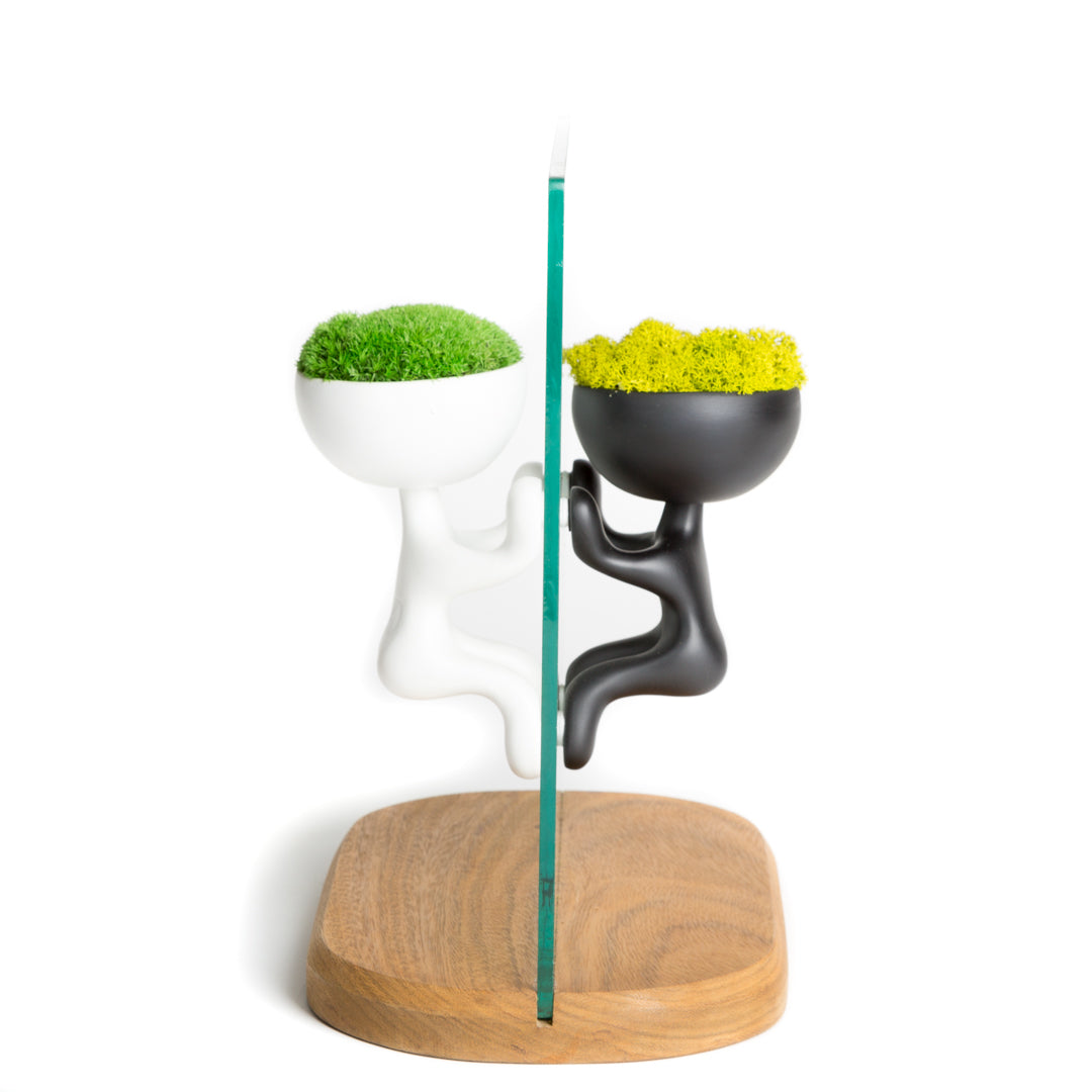 ROGER MOSS (Base decorativa)