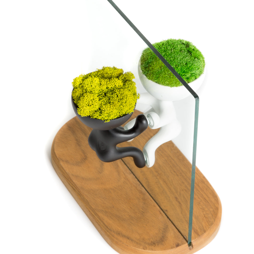 ROGER MOSS (Base decorativa)