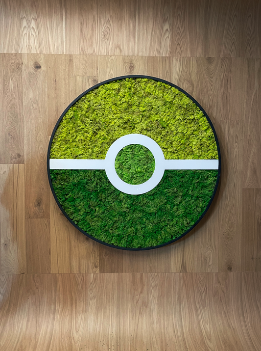 THE POKEMON COMPANY CDMX