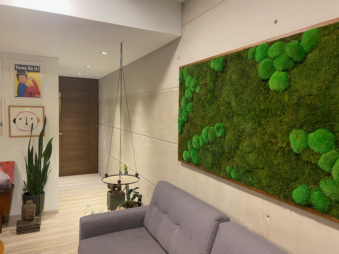 RESIDENCIAL CULIACAN