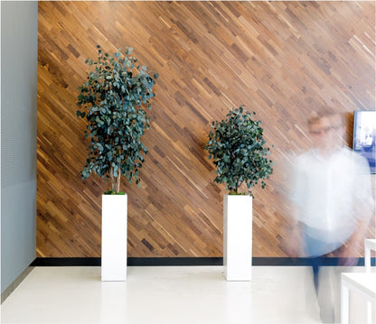SLIM POPULUS