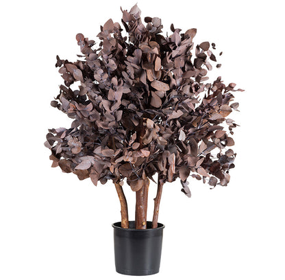 BUSH CINEREA