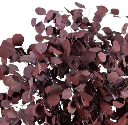 BUSH POPULUS