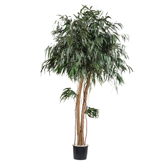 CROWN PENDULA