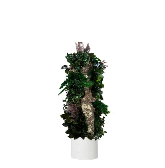 TOTEM BOSQUE