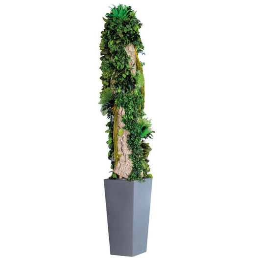TOTEM PRADERA