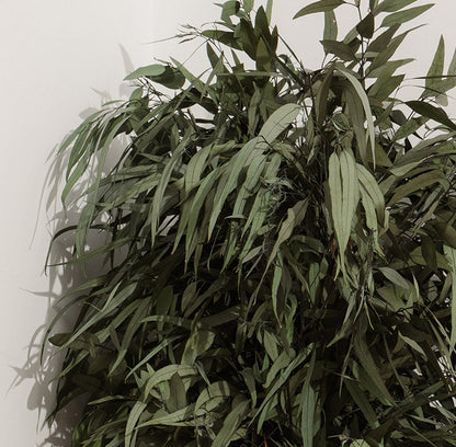 WIDE PENDULA