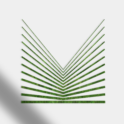 LIBRO ABIERTO